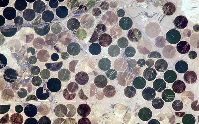 Những bể xử lý nước ở vùng Trung Tây nước Mỹ