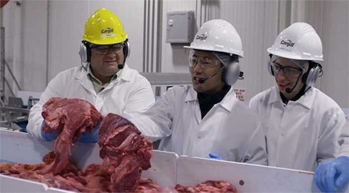 Máy quay được phép ghi hình tại nhà máy GMA của McDonald tại Fresno, California, Mỹ, nhằm dập tan mọi tin đồn về thành phần đồ ăn của hãng. Trong hình là các mảng thịt cỡ lỡn được kiểm tra trước khi đưa vào chế biến.