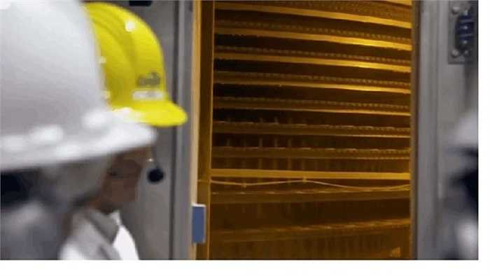 Những bánh thịt tròn được cho vào lò nướng.