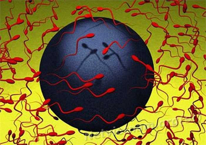 12 . Carrie Wambach - bác sĩ đến từ Trung tâm sinh sản Southern California ở Los Angeles (Mỹ) - nói: 'Xuất tinh thường xuyên có thể làm giảm nhẹ lượng tinh trùng nhưng đối với những người đàn ông khỏe mạnh bình thường, việc sản xuất tinh trùng diễn ra đều đặn thì rắc rối đó không đáng kể'.