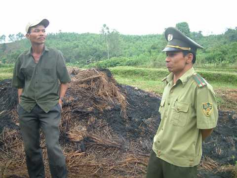 Quảng Nam, voi rừng, xuất hiện, voi dữ, phá hoa màu, Bắc Trà My