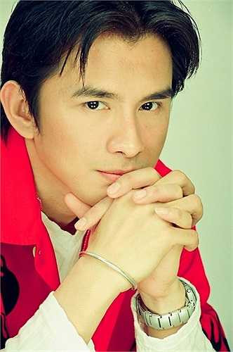 Anh trở thành ca sỹ có nhiều liveshow nhất, hầu hết đều được dàn dựng rất hoành tráng, và số lượng album phát hành cũng vào hàng đầu Việt Nam