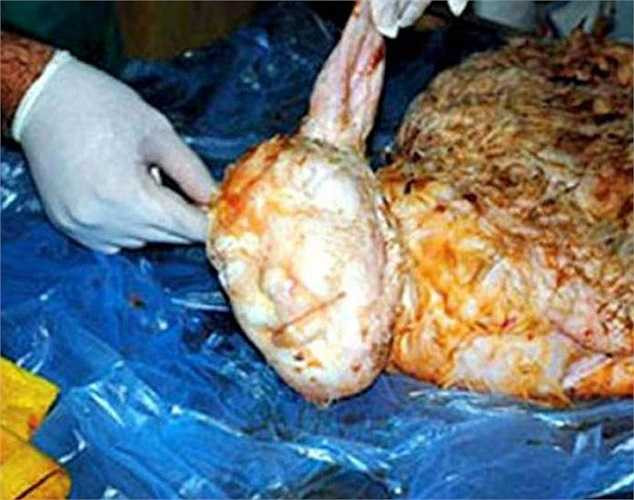 Bức ảnh về một chú cừu chết non mang khuôn mặt người trong bụng mẹ đã gây sốt trên cộng đồng mạng sau khi được đăng tải bởi bác sỹ thú y Erhan Elibol.