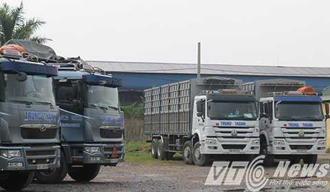 Công ty Thành Trung, Sở GTVT Hải Phòng, VATA, Công an Hải Phòng