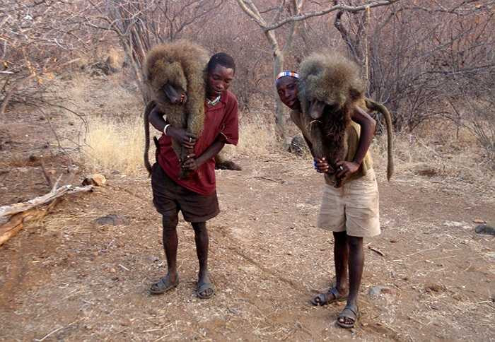 Mỗi khi khát họ thường tìm ra các con sông, hồ để uống. Cái cách mà họ uống nước cũng không khác cách mà những con vật uống. Họ cúi gập người, úp mặt vào dòng nước mát say sưa hút nước như thời sơ khai của loài người.