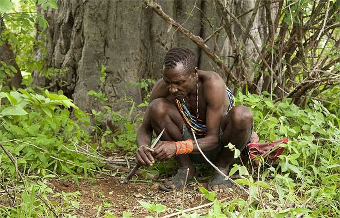 Họ giao tiếp với nhau bằng thứ ngôn ngữ riêng và hiện vẫn còn là điều bí ẩn với các nhà khoa học.