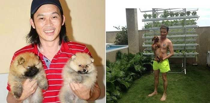 Sau ánh hào quang trên sân khấu, Hoài Linh trở về cuộc sống thường nhật. Anh nuôi thêm nhiều thú cưng để đỡ hiu quạnh. Mr Đàm không cô đơn, cuộc sống anh luôn ồn ào như chính âm nhạc và con người của mình. 