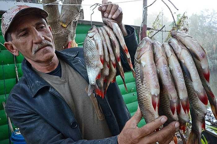 Người đàn ông bên cạnh xâu cá vừa đánh được