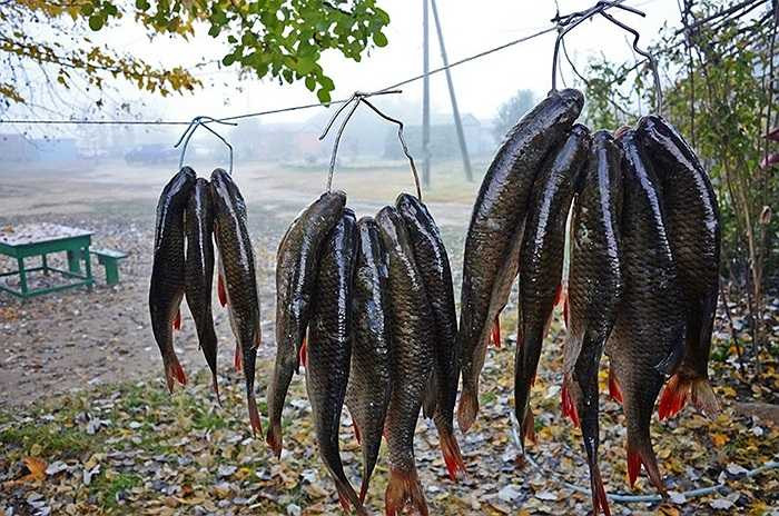 Treo trên dây phơi