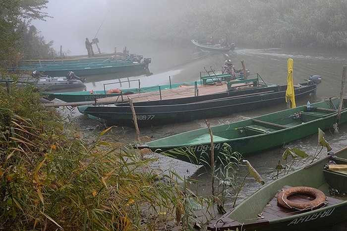 Các thuyền của ngư dân tập trung trong mùa câu cá