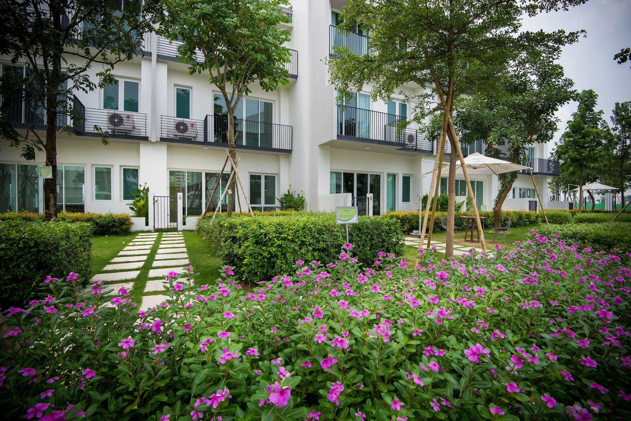 Chán biệt thự kín cổng cao tường, đại gia săn mua căn hộ 'xanh'