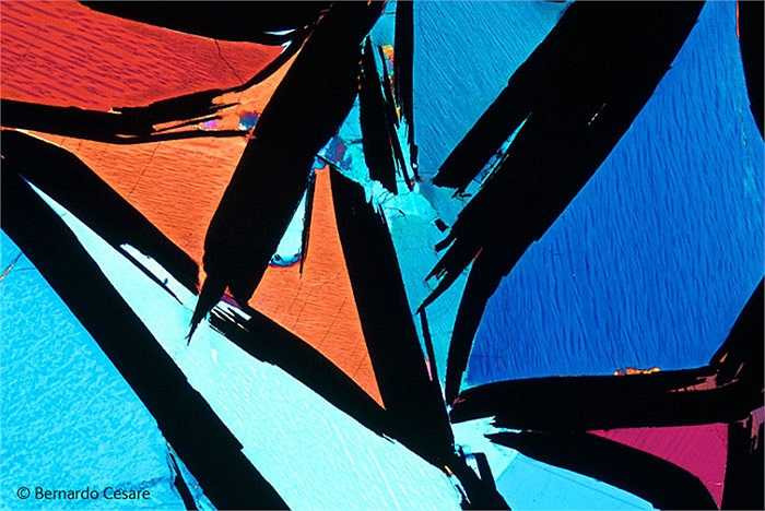 'Kaleidoscope': Thật khó hình dung bức ảnh chụp vật gì và đa số chúng ta chưa từng nhìn thấy bao giờ. Nhiếp ảnh gai đã chụp tinh thể đá graphite bằng kính hiển vi quang hợc dưới con mắt nghệ thuật.