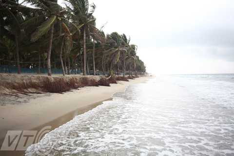 Hội An, sóng biển, Cửa Đại, nguy cơ, xóa sổ, sạt lở