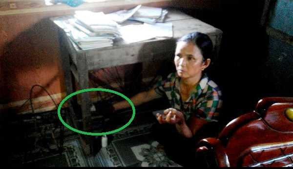 Rắn độc xuất hiện nhiều bất thường ở Nghệ An