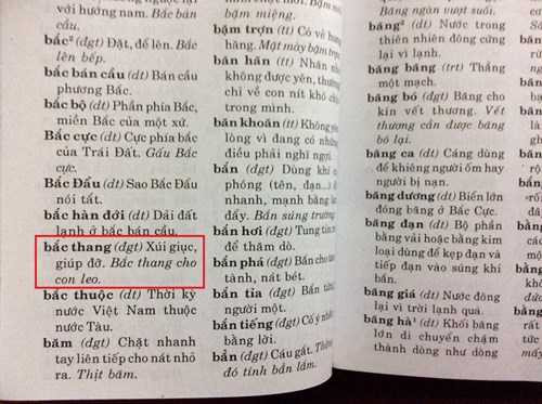 Thêm cuốn từ điển Tiếng Việt giải thích ngây ngô, khó hiểu