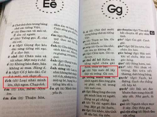 Thêm cuốn từ điển Tiếng Việt giải thích ngây ngô, khó hiểu