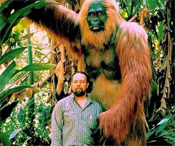 Dã nhân Gigantopithecus sống giữa 9 triệu đến 100.000 năm trước ở châu Á cao hơn 3 mét, nặng 1.200 kg, là động vật linh trưởng to lớn nhất từng biết. Hàm răng của chúng đã thích nghi với cách nghiền, xé mọi loại thức ăn. 