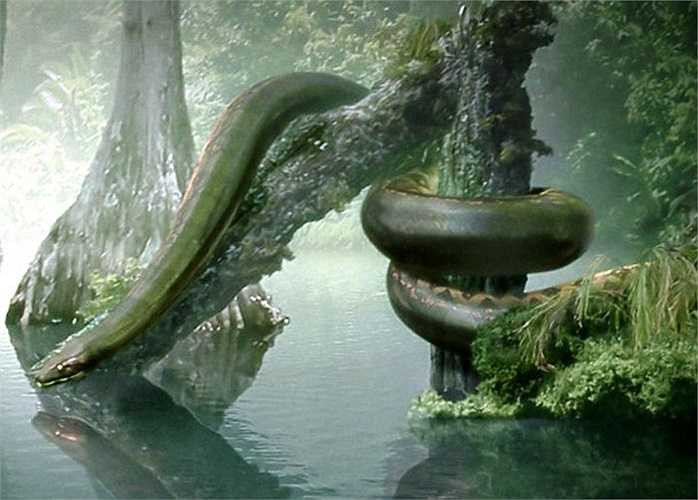 Trăn Titanoboa sống từ 60 – 58 triệu năm trước dài khoảng 42 mét và nặng tới 2.500 kg. Chúng có thể nuốt trọn một con cá sấu Deinosuchus, và cả một chiếc xe bus. Một nghiên cứu cho thấy nếu trái đất nóng lên, loài trăn hiện nay sẽ gia tăng kích thước như tổ tiên của chúng. 