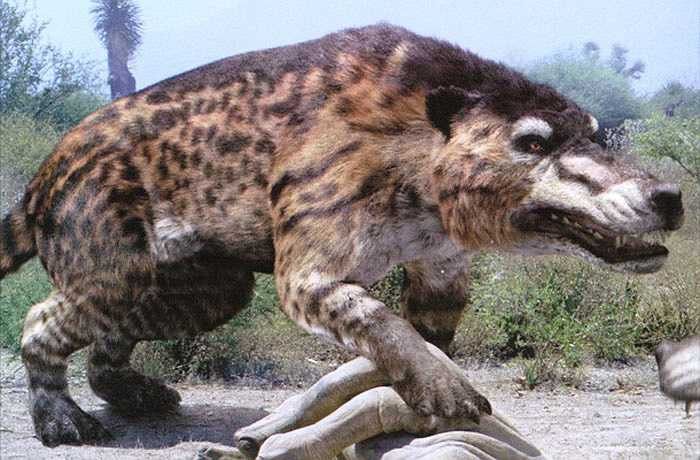 Andrewsarchus là động vật có vú ăn thịt to lớn với cân nặng tới 1.800 kg. Với tính khí hung dữ của loài săn mồi, chúng là những sinh vật đáng sợ nếu được hồi sinh.