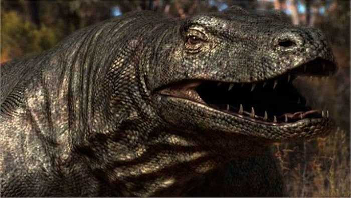 Rồng Megalania đã tuyệt chủng cách đây 30.000 năm, là động vật đặc hữu của châu Úc và được coi là tổ tiên loài rồng Komodo ngày nay. Chúng dài 7,6 mét và phá kỷ lục loài thằn lằn cạn khổng lồ nhất sau khủng long. 