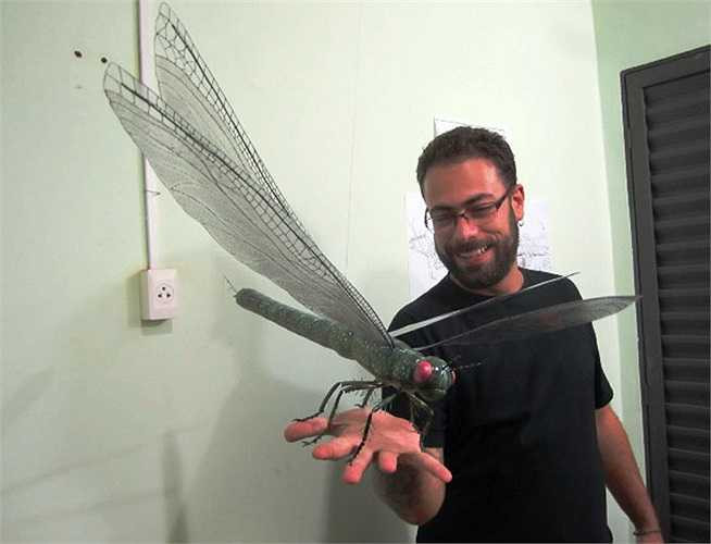 Chuồn chuồn Meganeura tuyệt chủng ở kỷ than đá, là tổ tiên của loài hiện nay. Sải cánh của chúng ước tính dài 66 cm, là loài côn trùng biết bay lớn nhất từng tồn tại. Chúng thường ăn thịt các côn trùng và lưỡng cư cỡ nhỏ.