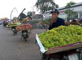 Nho xanh giá rẻ được bán tại nhiều đường phố Hà Nội. 