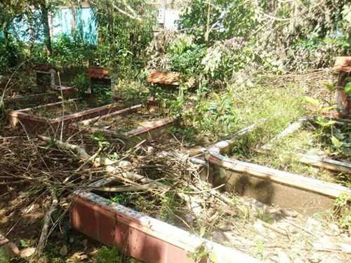 Khu mộ dành cho chó.