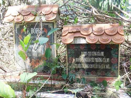 Chó được chôn cất trang trọng như người.