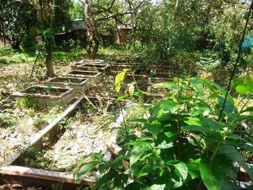 Khu mộ dành cho chim