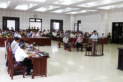 Xét xử, buôn lậu, gỗ quý, liên quan, đến cán bộ hải quan