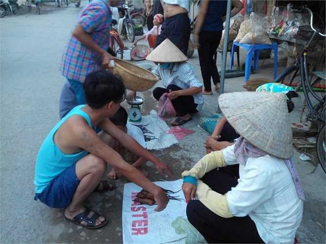 Chợ chuột tại Ngã tư thôn Tiền Liệt, xã Tân Phong, Ninh Giang, Hải Dương. 