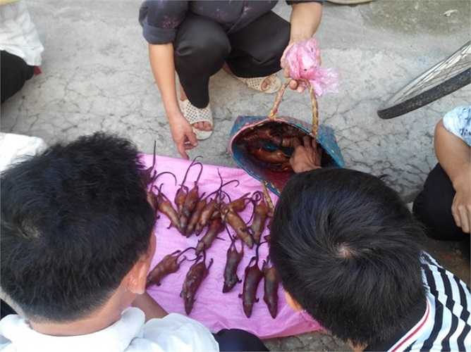 Chợ thường họp vào lúc 3h chiều, khi những người làng đi 'săn' chuột đồng đã về cho đến khi các nhà lên đèn - khoảng 7h tối, không còn khách đến chợ mua thịt chuột.