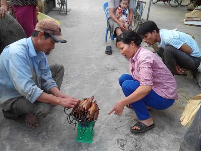 Đưa chuột lên cân, tính tiền