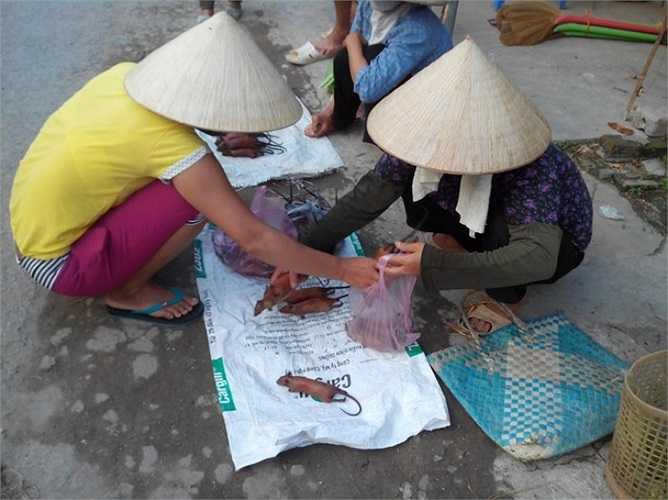 Tại đây, thịt chuột đồng là mặt hàng chủ yếu. Chúng được bày bán và mặc cả như những nhu yếu phẩm khác. 