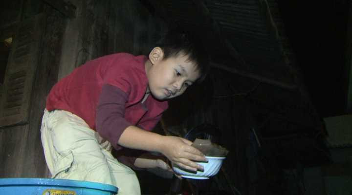 Bé Lê Đông Nguyên sơ chế ...da trâu.