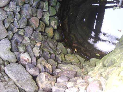 giếng đá, cây thị, đất thiêng, huyện Quỳnh Lưu, tỉnh Nghệ An