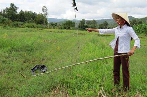 Quảng Ngãi, heo rừng, về làng, tấn công, cắn chết người