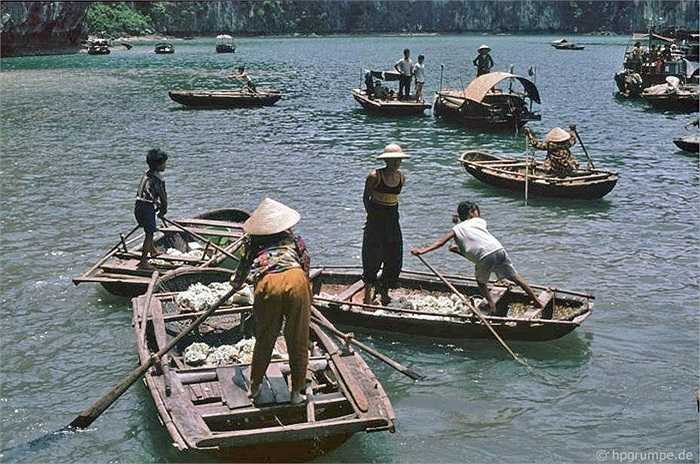 Trẻ con sống trên mặt nước từ nhỏ, chèo thuyền rất thạo và phụ giúp bố mẹ bán san hô, hải sản cho khách du lịch.