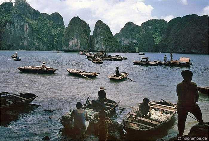 'Rồi đây, nơi này lại 'đánh đố' con người làm thế nào để giữ gìn nó khỏi bị hủy hoại theo thời gian', ông ghi chép vào sổ.