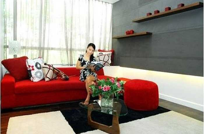 Năm 2013, ca sĩ Cẩm Ly cùng gia đình vừa ký hợp đồng mua căn hộ cao cấp tại Khu Đô thị tiện ích Sunrise City do công ty Novaland đầu tư tại Quận 7. Tổng diện tích căn hộ gia đình ca sĩ Cẩm Ly sở hữu lên tới gần 400 m2.