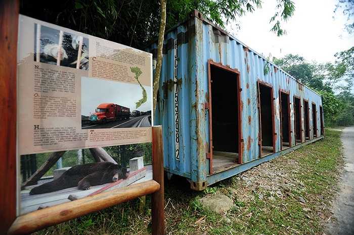 Một trong ba chiếc container cũ kĩ, chật chội, bẩn thỉu từng là ngôi nhà cũ của 19 chú gấu trước khi được tổ chức Động vật Châu Á giải cứu tại tỉnh Bình Dương. 