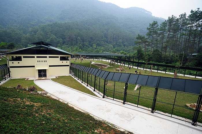 Các cán bộ, nhân viên của tổ chức Animals Asia luôn túc trực cả ngày lẫn đêm