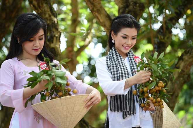 hoa hậu Việt Nam