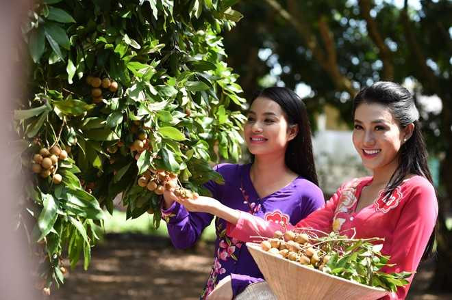 hoa hậu Việt Nam