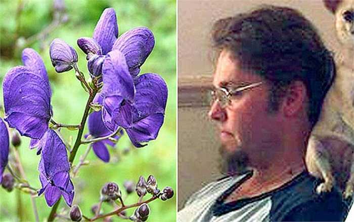 Theo tin mới nhất Nathan Greenaway (một thợ làm vườn ở Anh) đã ngã bệnh sau khi chăm sóc cho cây hoa tím chết người có tên Devil's Helmet và Monkshood (tiếng Việt gọi là cây Ô đầu), được trồng trên đất của tòa dinh thực Millcourt House, thuộc sở hữu của một đôi vợ chồng triệu phú.