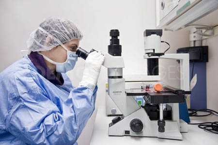 Hình minh họa: Công ty Bio-Rad (Mỹ) chuyên sản xuất các thiết bị dùng trong nghiên cứu y sinh