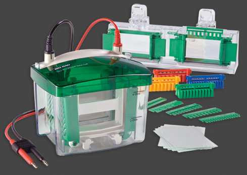 Nghi vấn hối lộ quan chức y tế: Vạch trần thủ đoạn ăn chia của Bio-Rad