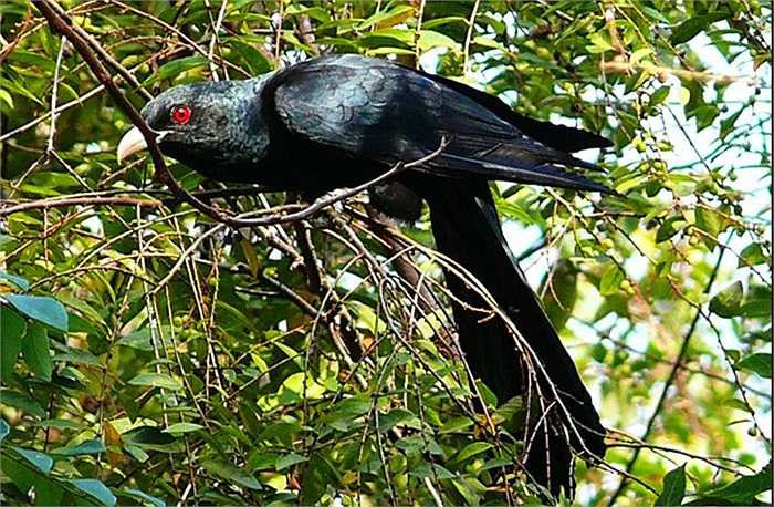 Bất kể loài nào trong thế giới tự nhiên đều được sinh ra, nuôi dưỡng bởi bố mẹ của mình. Bằng bản năng duy trì nòi giống, chúng sẽ tiếp tục biết cách chăm chút cho đứa con, sợi dây gắn kết giữa các dòng đời…