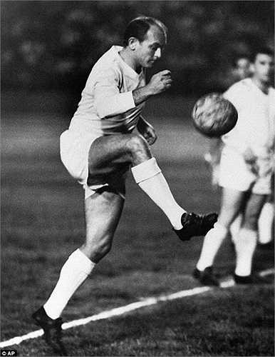 Alfredo Di Stefano là một trong những cầu thủ vĩ đại nhất ở Bernabeu, với chiến tích giúp đội bóng Hoàng gia Tây Ban Nha thống trị châu Âu 5 mùa giải liên tiếp. 