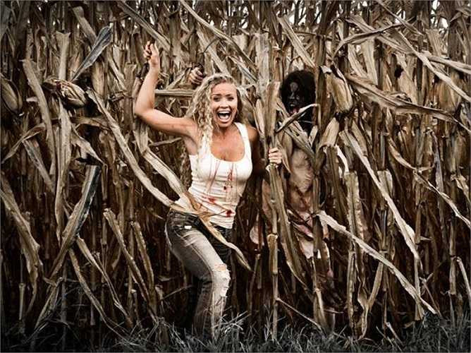 Bị đuổi: Nếu bạn mơ bị rượt đuổi có nghĩa là bạn đang phải đối đầu với những vấn đề khó khăn, những lo lắng trong cuộc sống hàng ngày. Bạn phải đấu tranh với stress và lo lắng, và bạn có xu hướng tránh mặt nó hơn là chạm trán với nó.